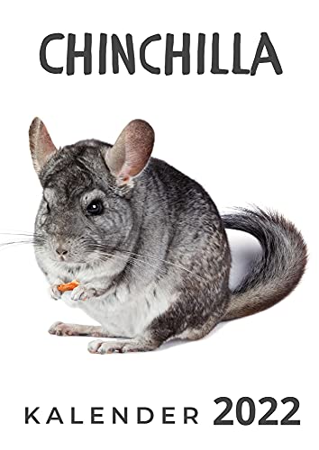Chinchilla: Kalender 2022