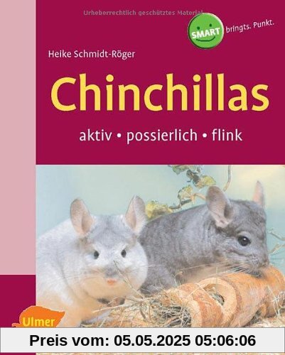 Chinchillas: Aktiv - possierlich - flink