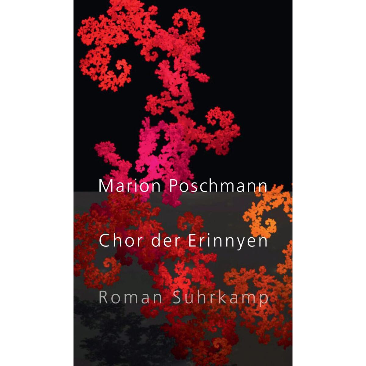 Chor der Erinnyen von Suhrkamp Verlag AG