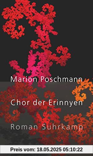 Chor der Erinnyen: Roman | Die Parallelgeschichte zum Bestseller »Die Kieferninseln«