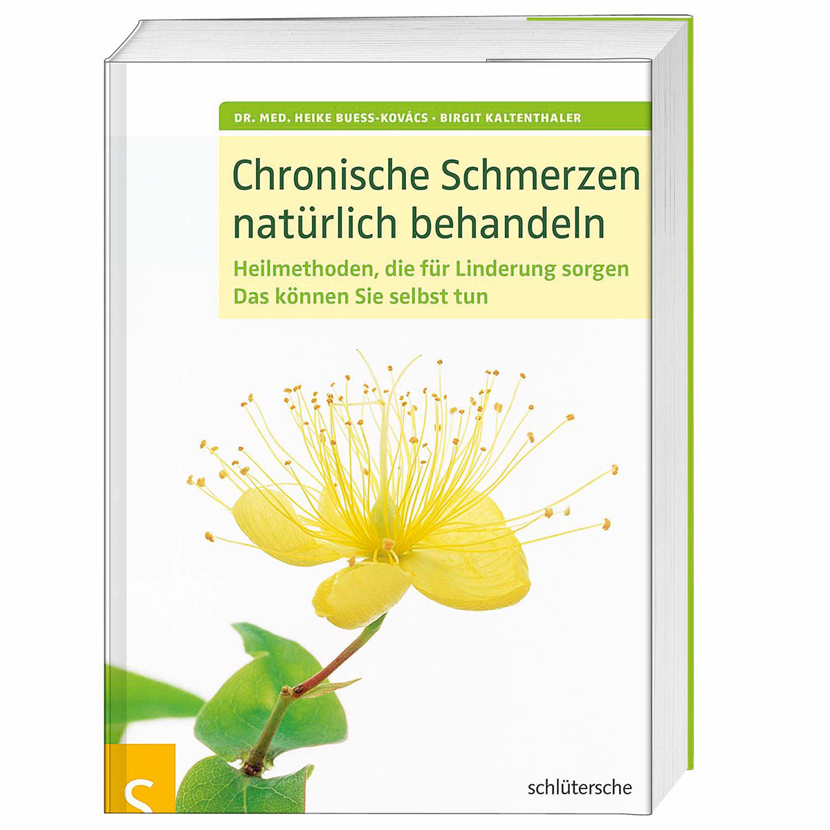 Chronische Schmerzen natürlich behandeln von Schluetersche Verlagsgesellschaft mbH & Co. KG