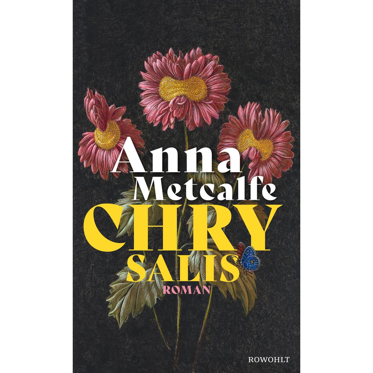 Chrysalis von Rowohlt Verlag GmbH