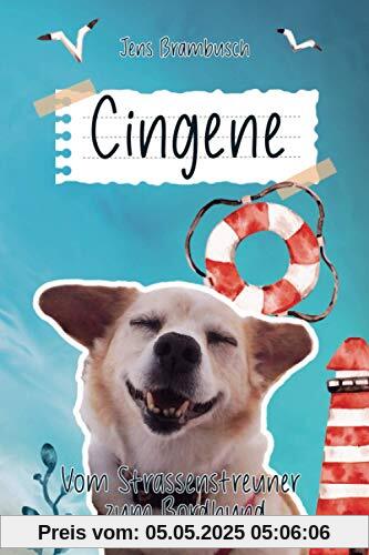 Çingene - vom Straßenstreuner zum Bordhund