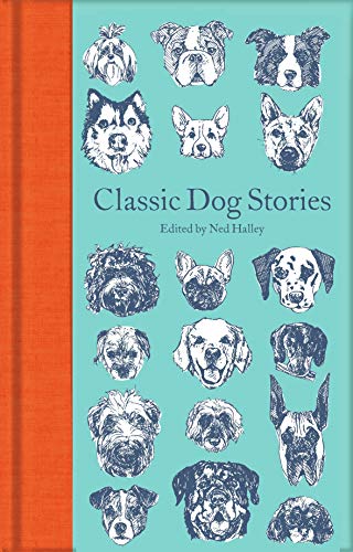Classic Dog Stories (Macmillan Collector's Library, 252) von Macmillan Collector's Library
