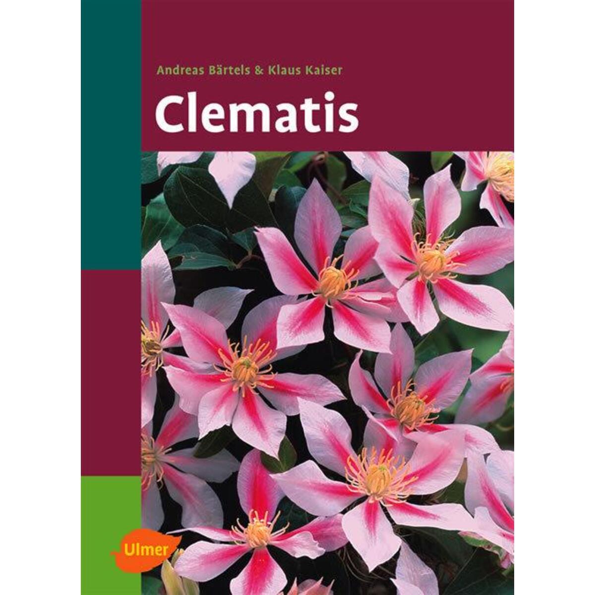 Clematis Clematis von Ulmer Eugen Verlag