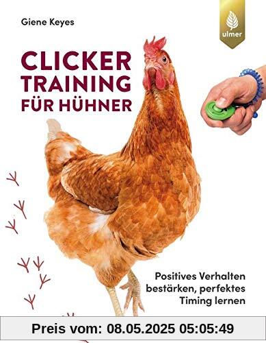 Clickertraining für Hühner: Positives Verhalten bestärken, perfektes Timing lernen
