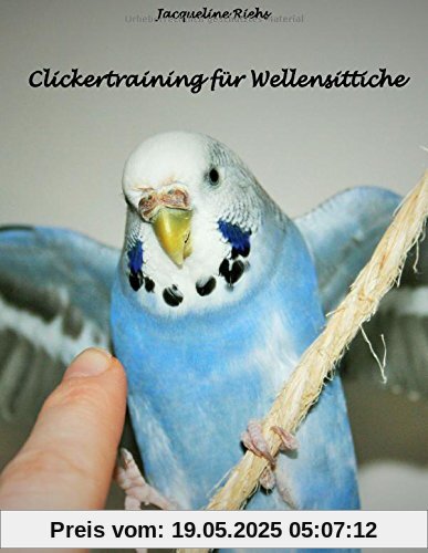 Clickertraining für Wellensittiche