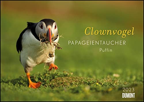 Clownvogel Papageientaucher 2023 ‒ Wandkalender ‒ Format 42 x 29,7 cm ‒ Mit Spiralbindung von Dumont Kalenderverlag
