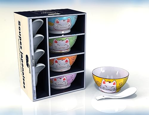 Coffret soupes japonaises: Contient : 4 bols, 4 cuillères et 1 livre de recettes von MARABOUT