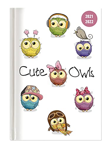 Collegetimer Cute Owls 2021/2022 - Schüler-Kalender A6 (10x15 cm) - Eule - Day By Day - 352 Seiten - Terminplaner - Notizbuch - Alpha Edition (Collegetimer A6 Daily)