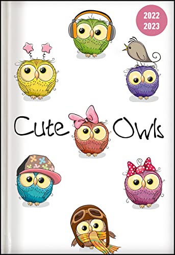 Collegetimer Cute Owls 2022/2023 - Schüler-Kalender A6 (10x15 cm) - Eule - Day By Day - 352 Seiten - Terminplaner - Notizbuch - Alpha Edition (Collegetimer A6 Daily) von Alpha Edition