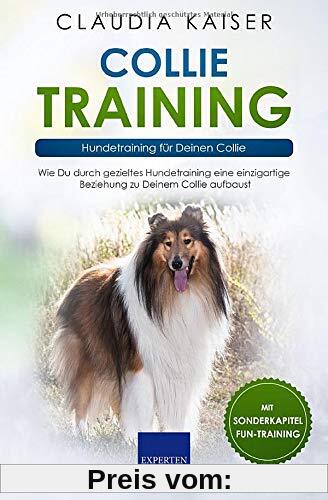 Collie Training – Hundetraining für Deinen Collie: Wie Du durch gezieltes Hundetraining eine einzigartige Beziehung zu Deinem Collie aufbaust