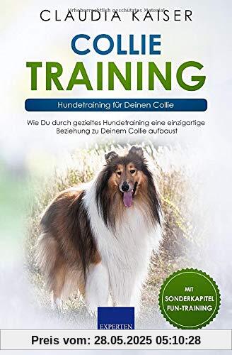 Collie Training – Hundetraining für Deinen Collie: Wie Du durch gezieltes Hundetraining eine einzigartige Beziehung zu Deinem Collie aufbaust