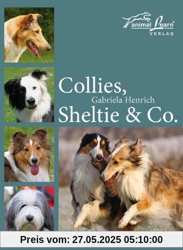 Collies, Sheltie & Co.