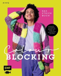 Colour Blocking - Das Strickbuch von Edition Michael Fischer