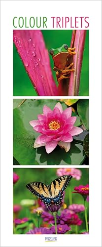 Colour Triplets 2026: Schmaler Wandkalender. Foto-Kunstkalender mit farblich abgestimmten Bildern. PhotoArt Vertikal. 28,5 x 69 cm. Colour Triplets 2026: Schmaler Wandkalender. Foto-Kunstkalender mit farblich abgestimmten Bildern. PhotoArt Vertikal. 28,5 x 69 cm. von Korsch Verlag