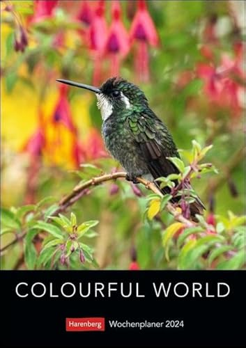 Colourful World Wochenplaner 2024. Terminkalender 2024 zum Aufhängen mit Naturfotos in leuchtenden Farben. Praktischer Wochenkalender von Harenberg