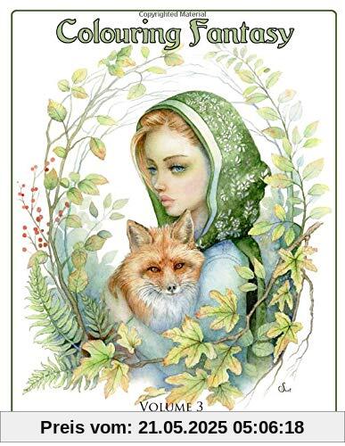 Colouring Fantasy Volume 3: Colouring Book By Scot Howden