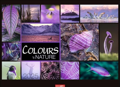 Colours of Nature Kalender 2025: Großer Foto-Wandkalender im Querformat 68 x 49 cm. Natur-Kalender 2025 mit harmonischen Bild- und Farbkompositionen für jeden Monat. von Weingarten