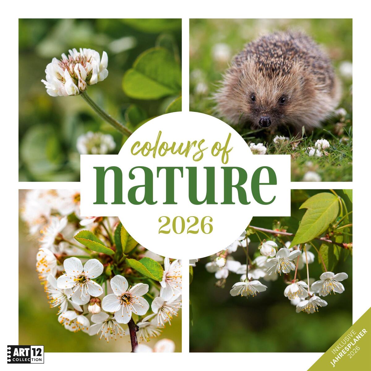 Colours of Nature Kalender 2026 - 30x30 Colours of Nature Kalender 2026 - 30x30 von Ackermann Kunstverlag