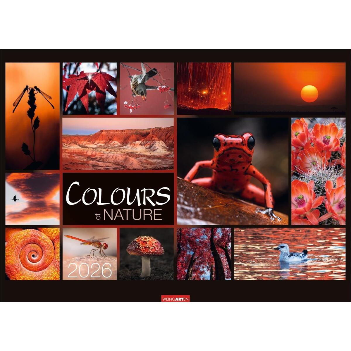 Colours of Nature Kalender 2026 Colours of Nature Kalender 2026 von Weingarten