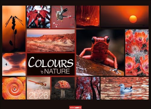 Colours of Nature Kalender 2026: Großer Foto-Wandkalender im Querformat 68 x 49 cm. Natur-Kalender 2026 mit harmonischen Bild- und Farbkompositionen für jeden Monat. Colours of Nature Kalender 2026: Großer Foto-Wandkalender im Querformat 68 x 49 cm. Natur-Kalender 2026 mit harmonischen Bild- und Farbkompositionen für jeden Monat. von Weingarten
