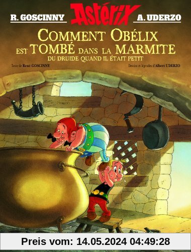 Comment Obelix est Tombe dans la Marmite du Druide Quand Il Etait Peti