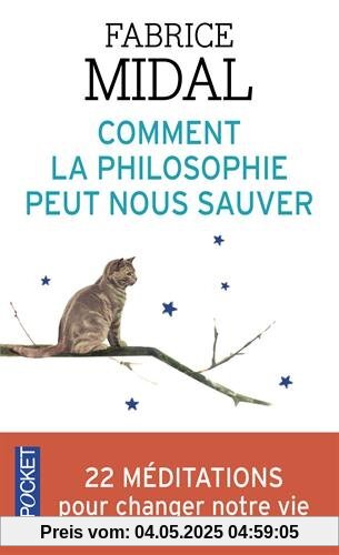 Comment la philosophie peut nous sauver : 22 méditations décisives