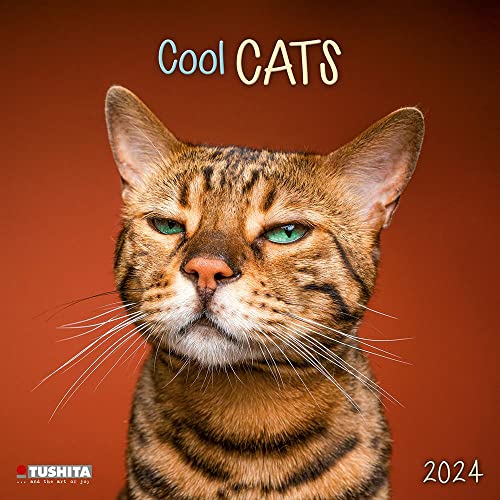 Cool Cats 2024: Kalender 2024 (Wonderful World) von Tushita PaperArt