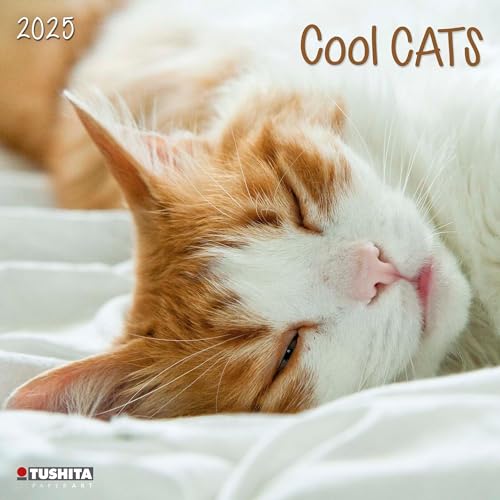 Cool Cats 2025: Kalender 2025 (Wonderful World) von Tushita PaperArt