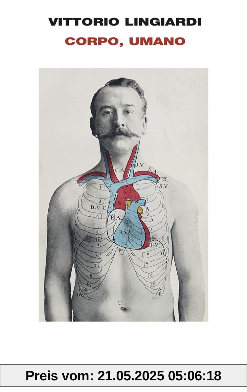 Corpo, umano (Frontiere Einaudi)