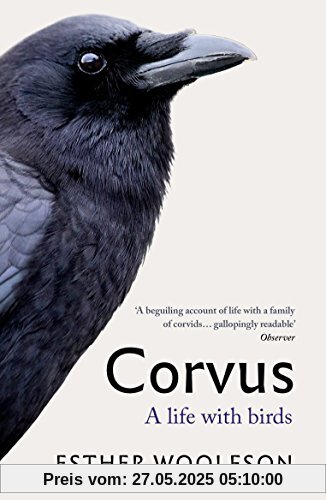 Corvus: A Life With Birds