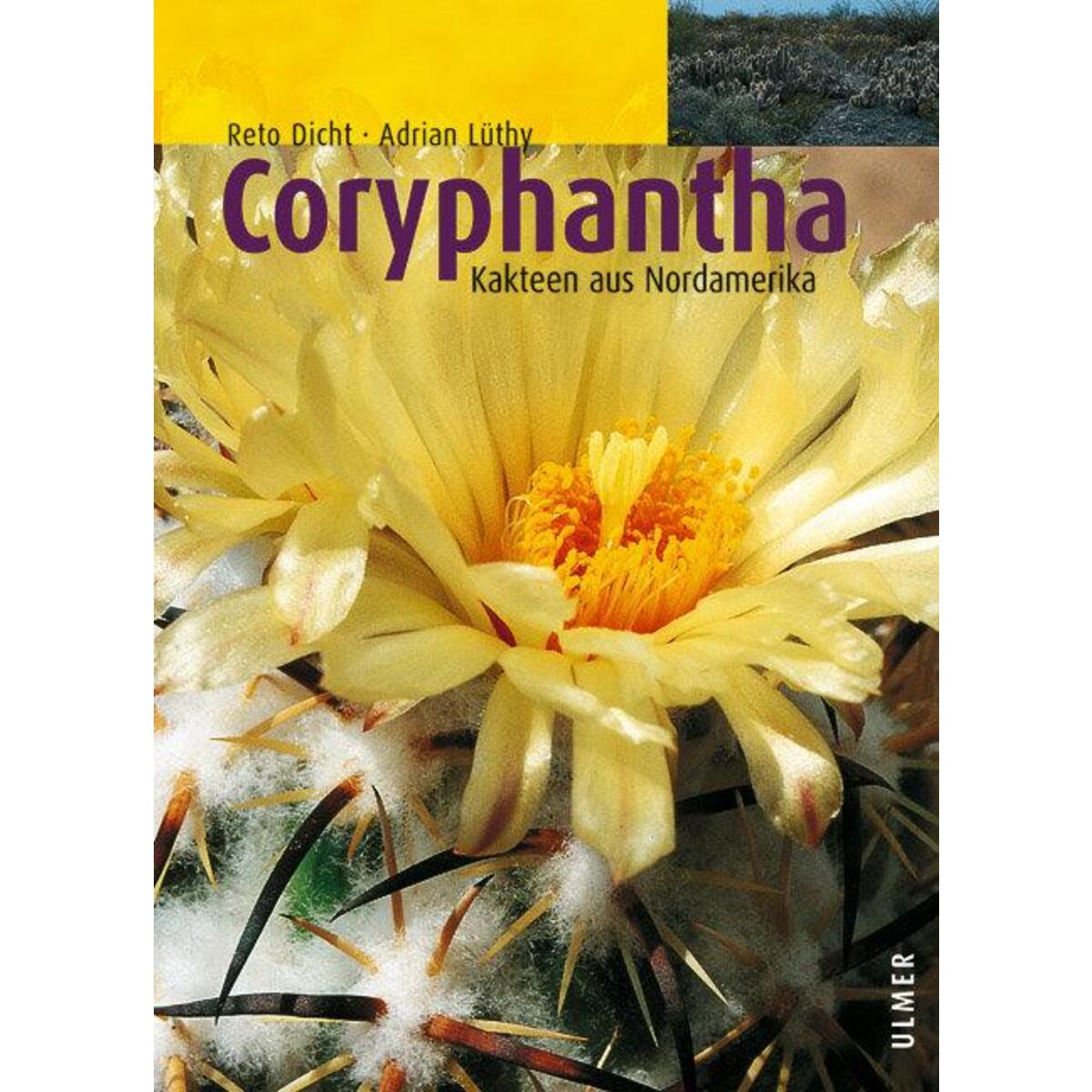 Coryphantha Coryphantha von Ulmer Eugen Verlag