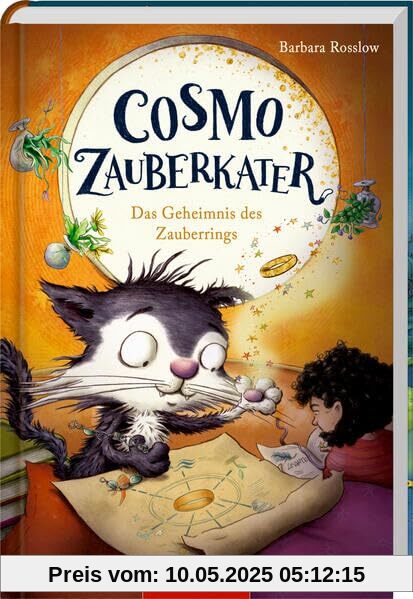 Cosmo Zauberkater (Bd. 2): Der gestohlene Zauberring (Cosmo Zauberkater, 2, Band 2)