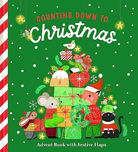 Counting Down to Christmas: Advent Book with Festive Flaps