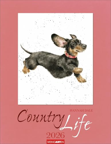 Country Life Kalender 2026: Wandkalender mit liebevoll gestalteten Tierbildern der Illustratorin und Zoologin Hannah Dale. Kunstvoller Tierkalender 2026 im Format 34 x 44 cm. Country Life Kalender 2026: Wandkalender mit liebevoll gestalteten Tierbildern der Illustratorin und Zoologin Hannah Dale. Kunstvoller Tierkalender 2026 im Format 34 x 44 cm. von Weingarten