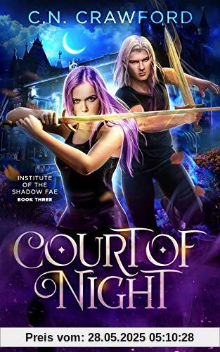 Court of Night: A Demons of Fire and Night Novel (Shadow Fae, Band 3)