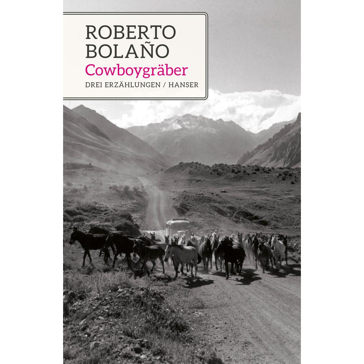 Cowboygräber von Carl Hanser Verlag