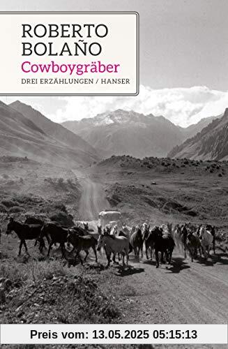 Cowboygräber: Drei Erzählungen