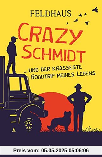 Crazy Schmidt … und der krasseste Roadtrip meines Lebens: Furiose Roadstory über eine Gruppe sympathischer Ausreißer