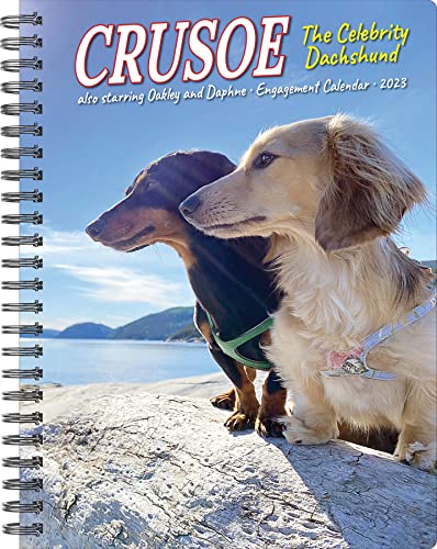 Crusoe the Celebrity Dachshund 2023 Engagement Calendar von Willow Creek Press Calendars