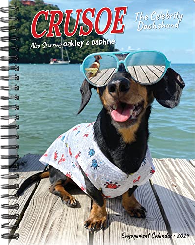 Crusoe the Celebrity Dachshund 2024 6.5 X 8.5 Engagement Calendar