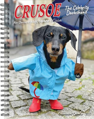 Crusoe the Celebrity Dachshund 2025 6.5 X 8.5 Engagement Calendar Crusoe the Celebrity Dachshund 2025 6.5 X 8.5 Engagement Calendar