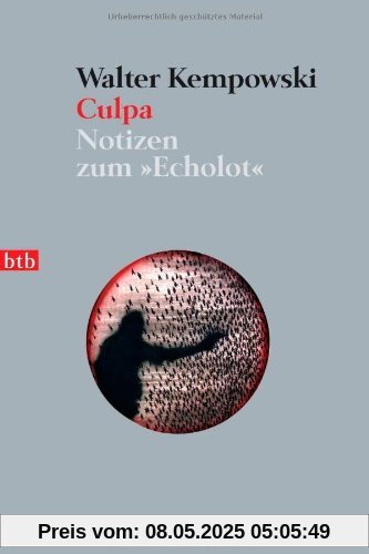 Culpa - (5. Teil des Echolot-Projekts): Notizen zum