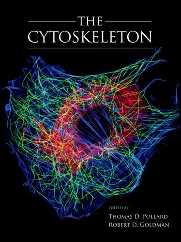 Cytoskeleton Cytoskeleton