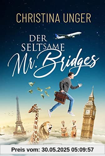 DER SELTSAME MR. BRIDGES: Roman, Komödie