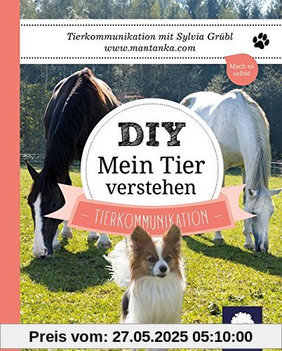 DIY Mein Tier verstehen: Tierkommunikation DIY Mein Tier verstehen: Tierkommunikation