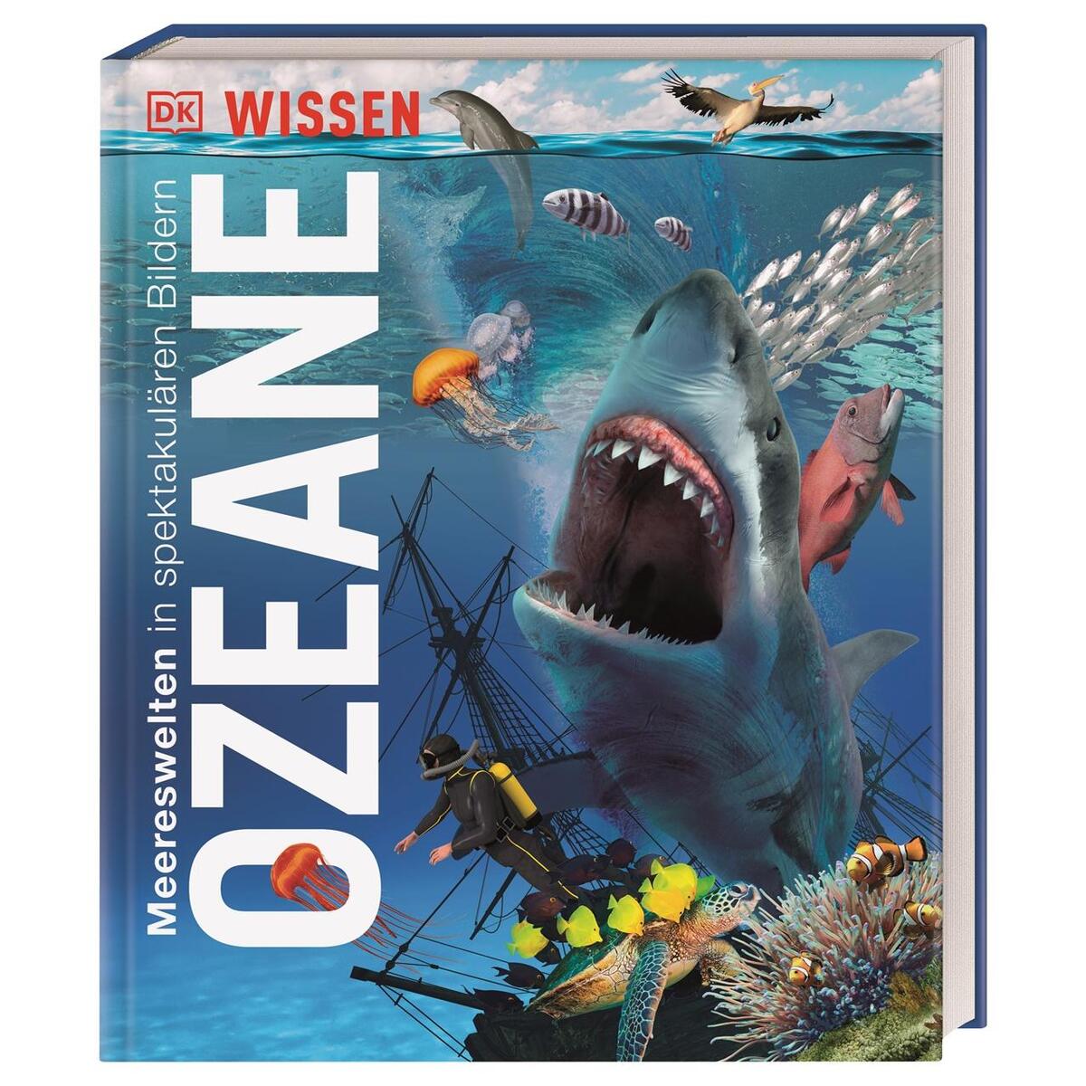 DK Wissen. Ozeane DK Wissen. Ozeane von Dorling Kindersley Verlag