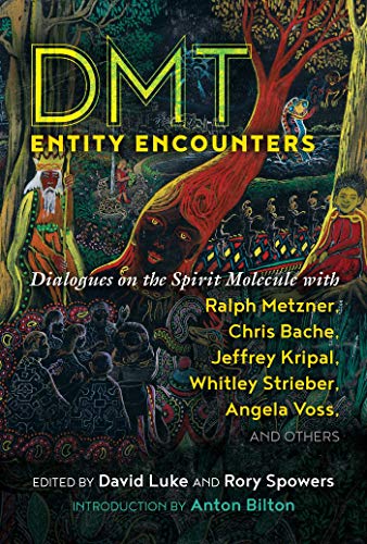 DMT Entity Encounters: Dialogues on the Spirit Molecule with Ralph Metzner, Chris Bache, Jeffrey Kripal, Whitley Strieber, Angela Voss, and Others von Park Street Press
