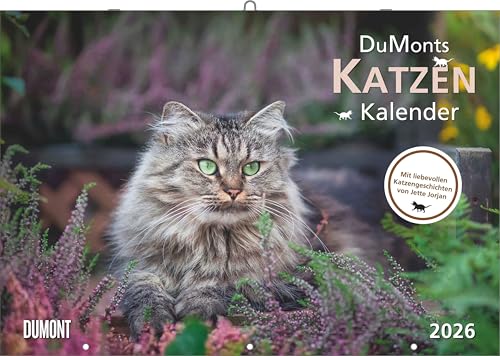 DUMONTS Katzenkalender 2026 - Broschürenkalender - Wandkalender - mit Schulferienterminen - Format 42 x 29 cm: mit kurzweiligen Katzengeschichten DUMONTS Katzenkalender 2026 - Broschürenkalender - Wandkalender - mit Schulferienterminen - Format 42 x 29 cm: mit kurzweiligen Katzengeschichten von DUMONT